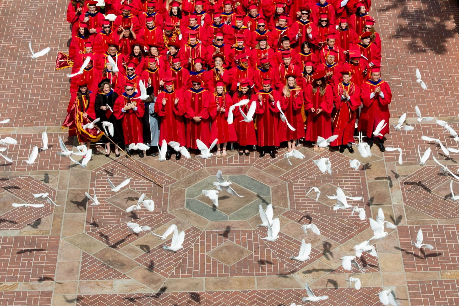 A flock of doves flying over the USC graduating class, who are all in red gowns and caps.
